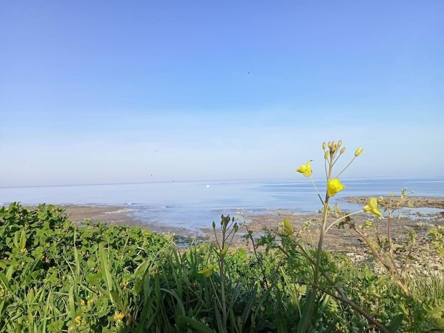 Soleil D'Opale Et Son Grand Jardin Villa Wimereux Exteriör bild